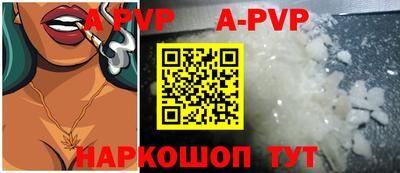 гашик Моздок