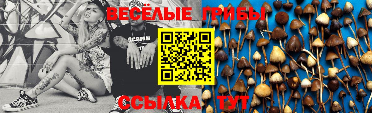 Галлюциногенные грибы прущие грибы  Вход с VPN  Тара  Псилоцибиновые грибы ЛСД 
